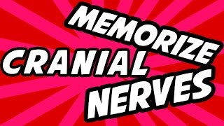 How to memorize Cranial Nerves easy method [upl. by Zsa Zsa]