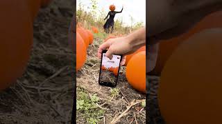 Pumpkin head mobile photography trick that looks epic 🎃 creativeideas mobilephotography [upl. by Farmer]