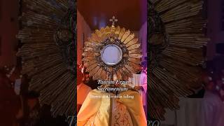 Tantun ergo sacramentum  jesus blessed us those who watching this video  jesus [upl. by Lathe532]