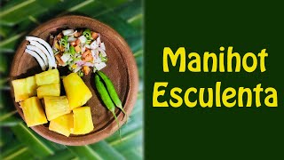 Manihot Esculenta  CeylonFood Recipe [upl. by Berriman968]