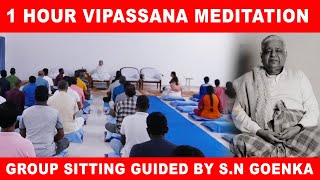 1 Hour Vipassana Meditation  Group sitting  Exclusively from Dhamma Meditation Hall  SN Goenka [upl. by Gennaro]