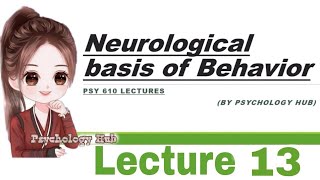 PSY 610 Neurological basis of behavior  lecture 13  Psychology hub [upl. by Turnheim]