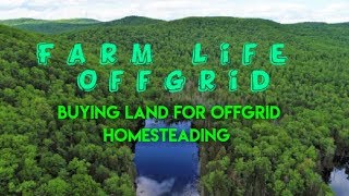 Buying land for homesteading and offgrid living Owner Financing [upl. by Suh]