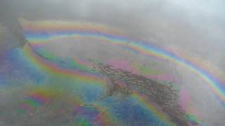 Mosquito Larvicidal Oil Dispersing and Creating the Rainbow Effect [upl. by Aznaed873]