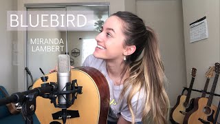 Bluebird Miranda Lambert Dani Arribere Cover [upl. by Ytram]