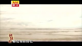 粉红色的回忆利慧君伴奏 KARAOKE [upl. by Press]