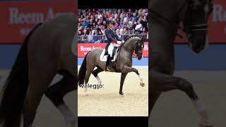 that was not Valegro in the last clip foryou valegro charlotte dressage equestrian abuse sad [upl. by Frech]