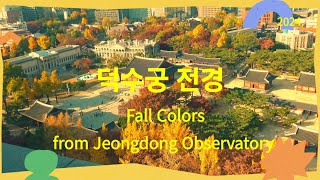 4KUHD Fall Colors of Deoksugung from Observatory 德壽宮 全景 20241115 [upl. by Irma685]