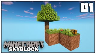 LETS GET STARTED ► MINECRAFT SKYBLOCK SURVIVAL ► EPISODE 1 [upl. by Munroe511]