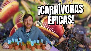 PLANTAS CARNÍVORAS para principiantes 🔥TREMENDO Unboxing de PLANTAS RARAS [upl. by Nilya]