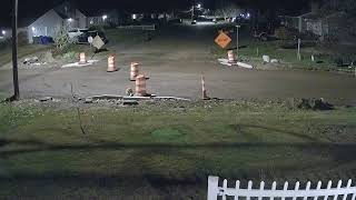 Foxes playing in the Road Construction Area 102624 [upl. by Agee]