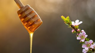 Australian Manuka Medicinal Honey from Australias Manuka [upl. by Lama571]