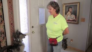 How to Get Your Dog to Start Barking at People at the Front Door  Dog Training amp Care [upl. by Eblehs31]