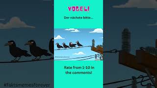 Vogel total elektrisiert von neuen Kollegen familyguythequestforstuff fyp familyguybirdistheword [upl. by Elleirol]