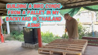 Building a Bird Condo for my Thai Garden ASMR [upl. by Hamirak]