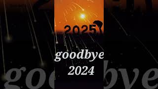 goodbye 2024 [upl. by Zephan]