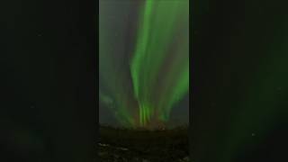 Wait for it northern lights hunting finland insta360x4 auroraborealis northernlights night [upl. by Hsirrehc]