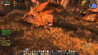 Quest 1932 Direhorn Raiders WoW human paladin [upl. by Diella428]