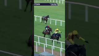 Galopin Des Champs  Irish Gold Cup King again horse horseracing racingtv britishhorseracing [upl. by Weisbrodt719]