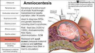 Prenatal screening fetal testing and other tests during pregnancy [upl. by Alial]