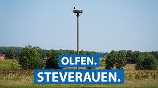 Die Steverauen in Olfen  Naturschutzgebiet im Münsterland  checkpottclip [upl. by Stanfill477]