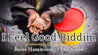 I Feel Good Riddim Mix Full June Refix 2016 [upl. by Lefty20]