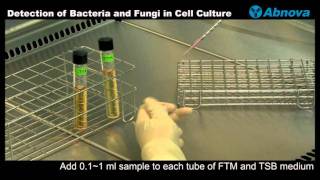 Detection of Bacteria and Fungi in Cell Culture [upl. by Sherburn]