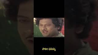 పరిమళించు పున్నమిలో  Parimalinchu Punnamilo  Song short  Puli Bebbuli 1983 [upl. by Carlstrom]