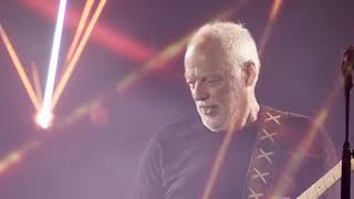 The absolutely best performance guitar solo of David Gilmour [upl. by Anchie48]