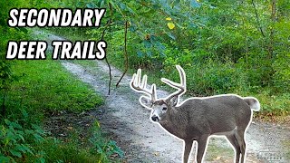 What Are Secondary Travel Routes Why Are They Important to Your Whitetail Property [upl. by Seraphine]