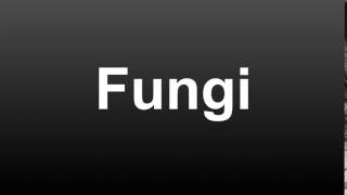 How To Pronounce Fungi American English [upl. by Ellebanna]