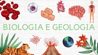 7 Geologia 10º ano  Vulcanologia 🌋 [upl. by Arther210]