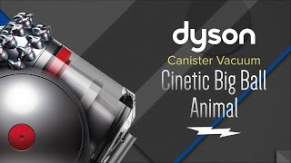 Dyson Cinetic Big Ball Animal Canister Vacuum  21489501 [upl. by Dasya336]