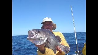 CHERNIAS EN MAR DEL PLATA CON SANDOKAN PESCA TEL 54 9 1149867694 [upl. by Fisa443]