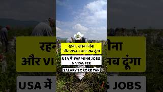 Usa Work Visa  How to get Usa Work Visa from India  Usa Work Visa [upl. by Alrak]