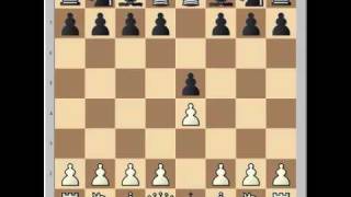 Mastering Chess Openings [upl. by Ellerud201]