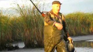 duck hunting in ukraine [upl. by Ettenoj]