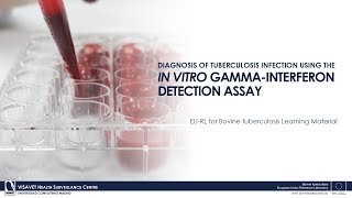 Diagnosis of Tuberculosis Infection using the In Vitro GammaInterferon detection Assay [upl. by Itaws]