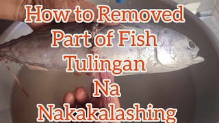 How To Removed Part of Fish Tulingan Poisonous [upl. by Neehsuan]