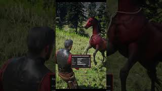 RARE Horse Location In RDR2 shorts rdr2 funny [upl. by Noj965]