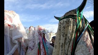 IL CARNEVALE DI BASILICATA [upl. by Eiramyllek]