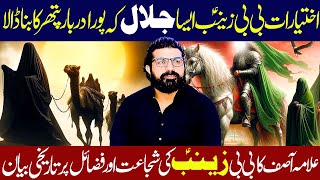 Ikhtiyarat e Bibi Zainab Aisa Jalal Pura Darbar Pather Ka Ho Gya  Allama Asif Raza Alvi [upl. by Nevla772]