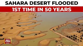 Unprecedented Flooding In Sahara Desert After 50 Years Is It A Climate Change Warning India Today [upl. by Wilma]