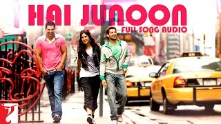 Audio  Hai Junoon  Full Song  New York  KK  Pritam  Sandeep Shrivastava [upl. by Mastrianni]