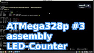 Assembly Atmega328P 3 LEDCounter [upl. by Aharon]