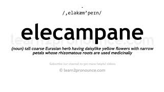 How to pronounce Elecampane  English pronunciation [upl. by Eedyaj]