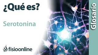 SEROTONINA  Qué es qué órgano la segrega efectos en qué estructuras del cuerpo actúa [upl. by Nevyar958]