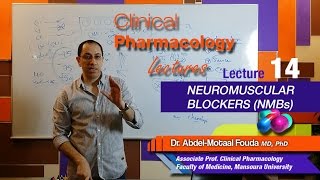 Autonomic Pharmacology Ar  Lec 14  Neuromuscular blockers NMBs [upl. by Urania]