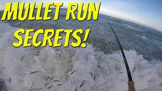 The SECRETS To Fishing the Florida Mullet Run Tackle Tuesday [upl. by Micah303]