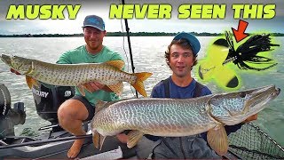 41 MUSKY BITES  Lake St Clair CRAZINESS Part 1 [upl. by Ten413]